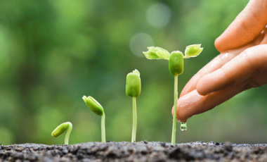 新利luck18(中国区)-官方网站