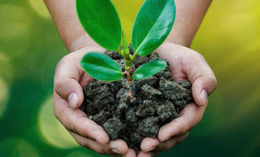 新利luck18(中国区)-官方网站