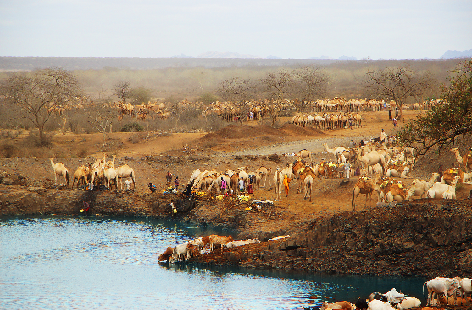 新利luck18(中国区)-官方网站